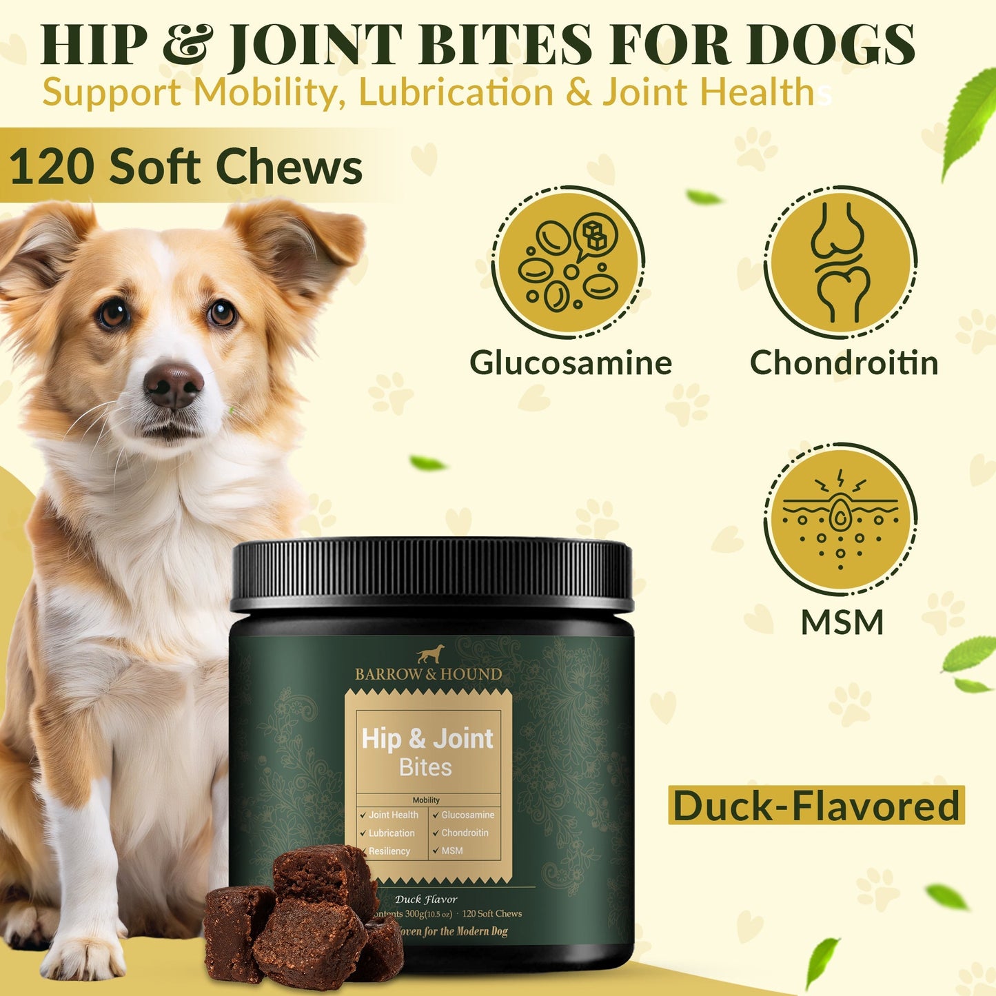 Hip & Joint Supplement for Dogs – Glucosamine and Chondroitin Dog Joint Support Chews