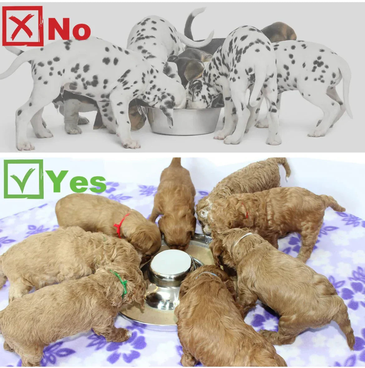 Stainless Steel Puppy Weaning Bowl | Stackable Pet Feeder