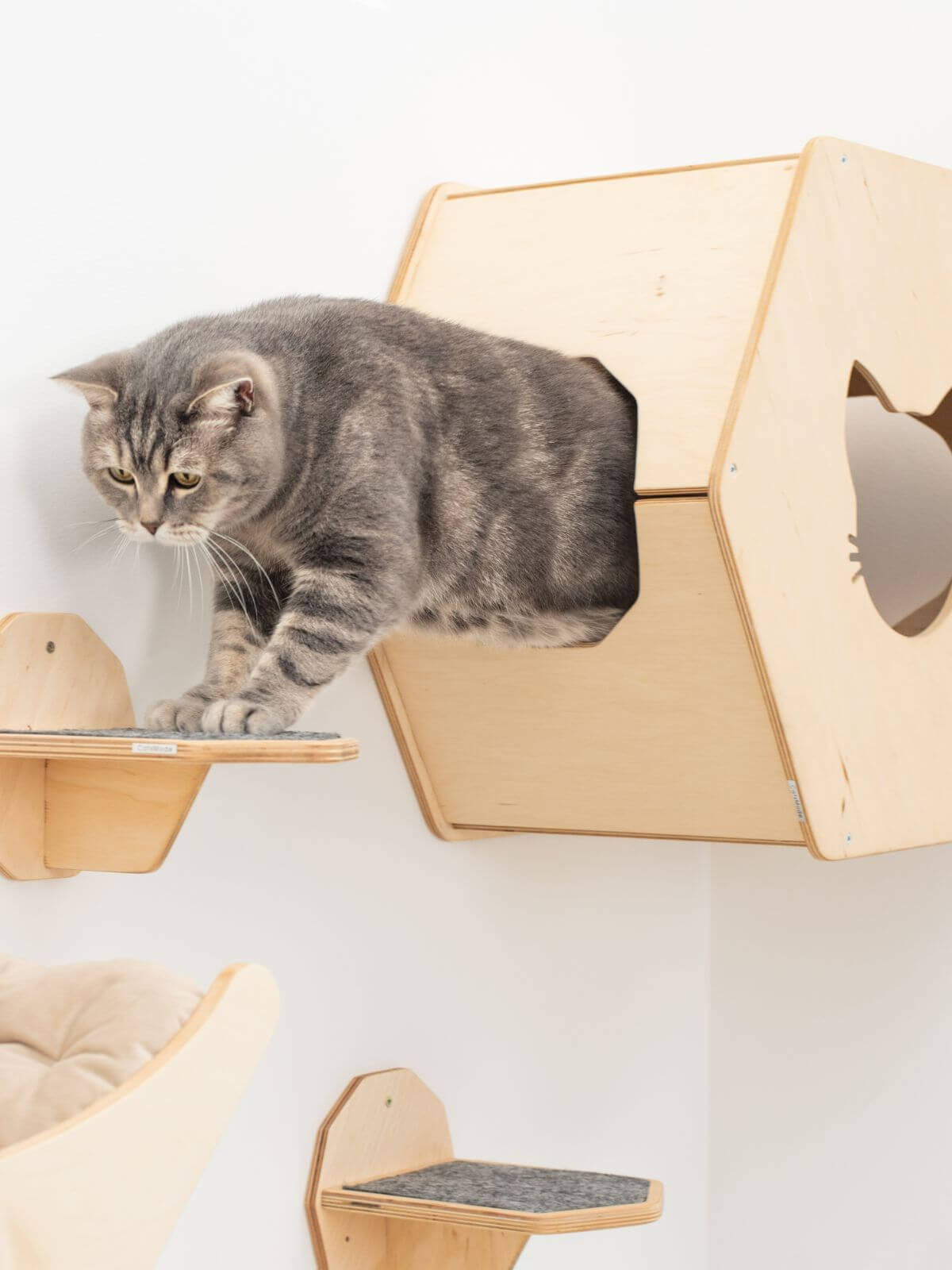 Wall Mounted Cat Bed, Hexagon Cat Shelf | Modern Floating Pet House