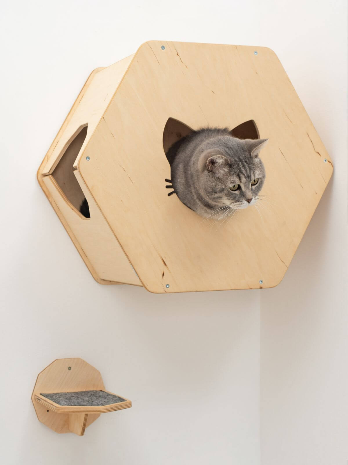 Wall Mounted Cat Bed, Hexagon Cat Shelf | Modern Floating Pet House