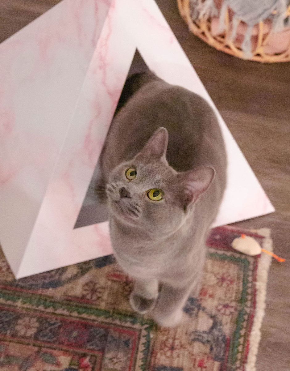 Cardboard Cat House, Modern Cat Pyramid | Rose Quartz Geometric Design