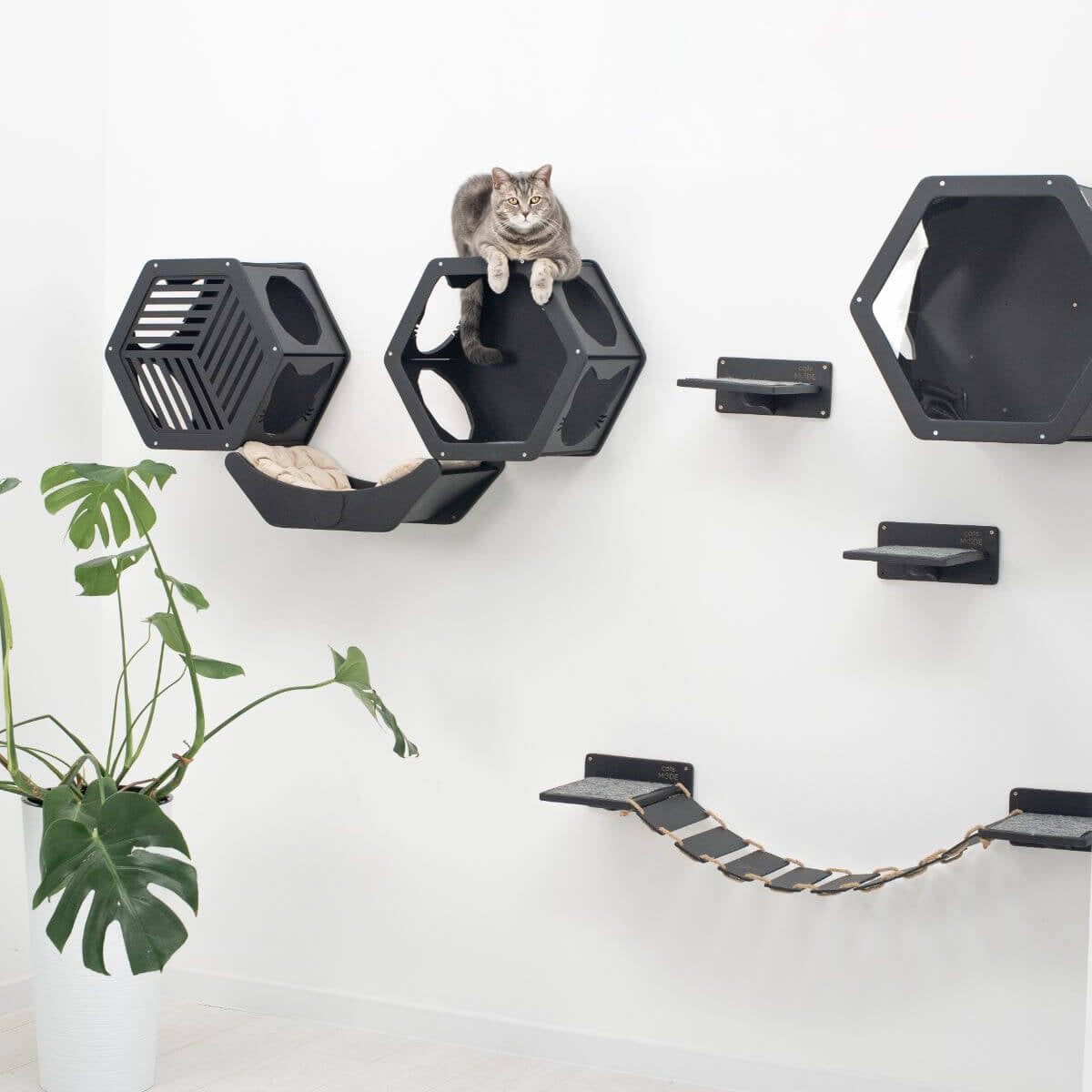Cat Curve Wall Bed, Wall Mounted Curved Shelf