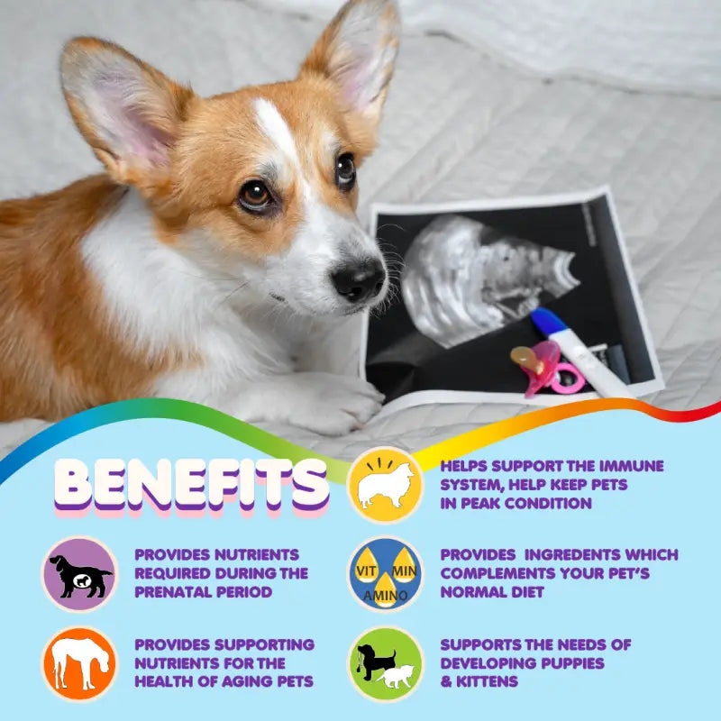 Makondo Pets Daily Multivitamin for Dogs and Cats: Prenatal, Puppy, and Senior Care | 120 Count