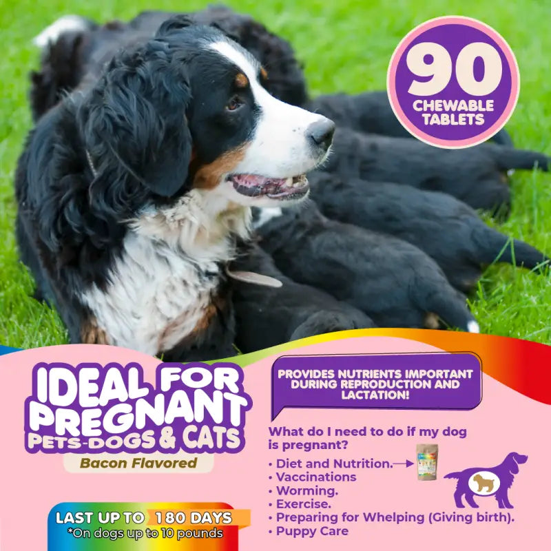 Makondo Pets Daily Multivitamin for Dogs and Cats: Prenatal, Puppy, and Senior Care | 120 Count