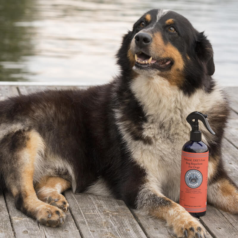 Natural Bug Repellent Spray for Dogs Flea and Tick Protection | Made in USA