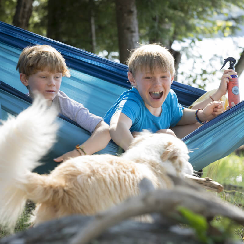 Natural Bug Repellent Spray for Dogs Flea and Tick Protection | Made in USA