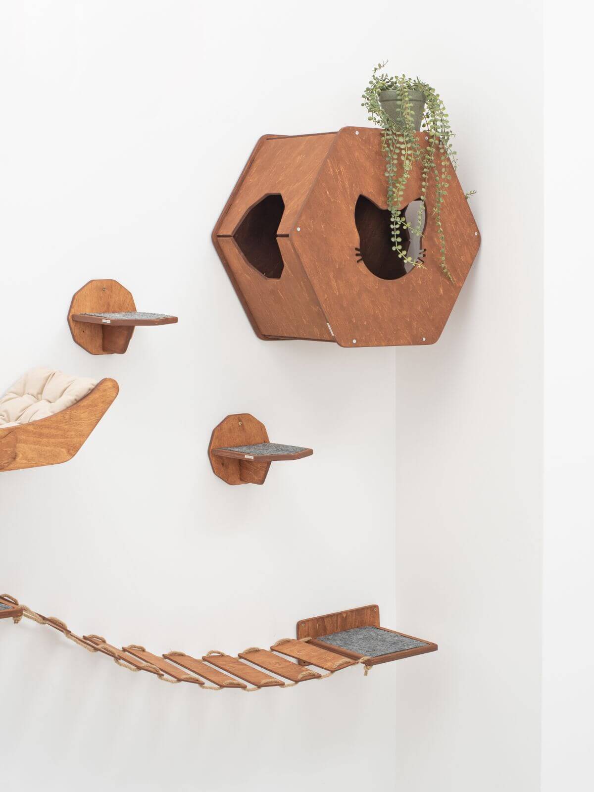 Wall Mounted Cat Bed, Hexagon Cat Shelf | Modern Floating Pet House