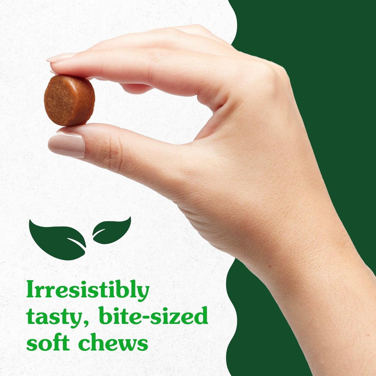 Greenies Hip and Joint Supplements for Dogs – Glucosamine and Chondroitin Chicken Soft Chews