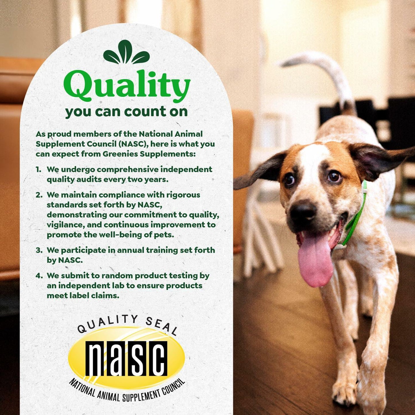 Greenies Hip and Joint Supplements for Dogs – Glucosamine and Chondroitin Chicken Soft Chews