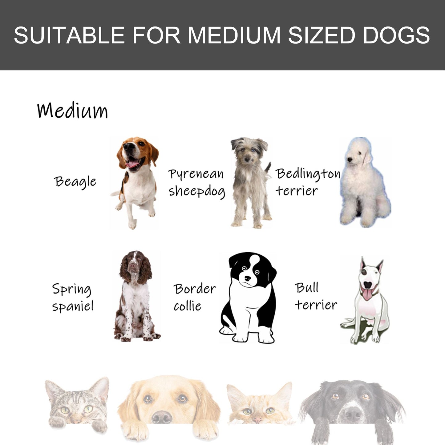 The "Easy-Roll" Kennel: 37" Heavy Duty Metal Dog Crate with Top Access