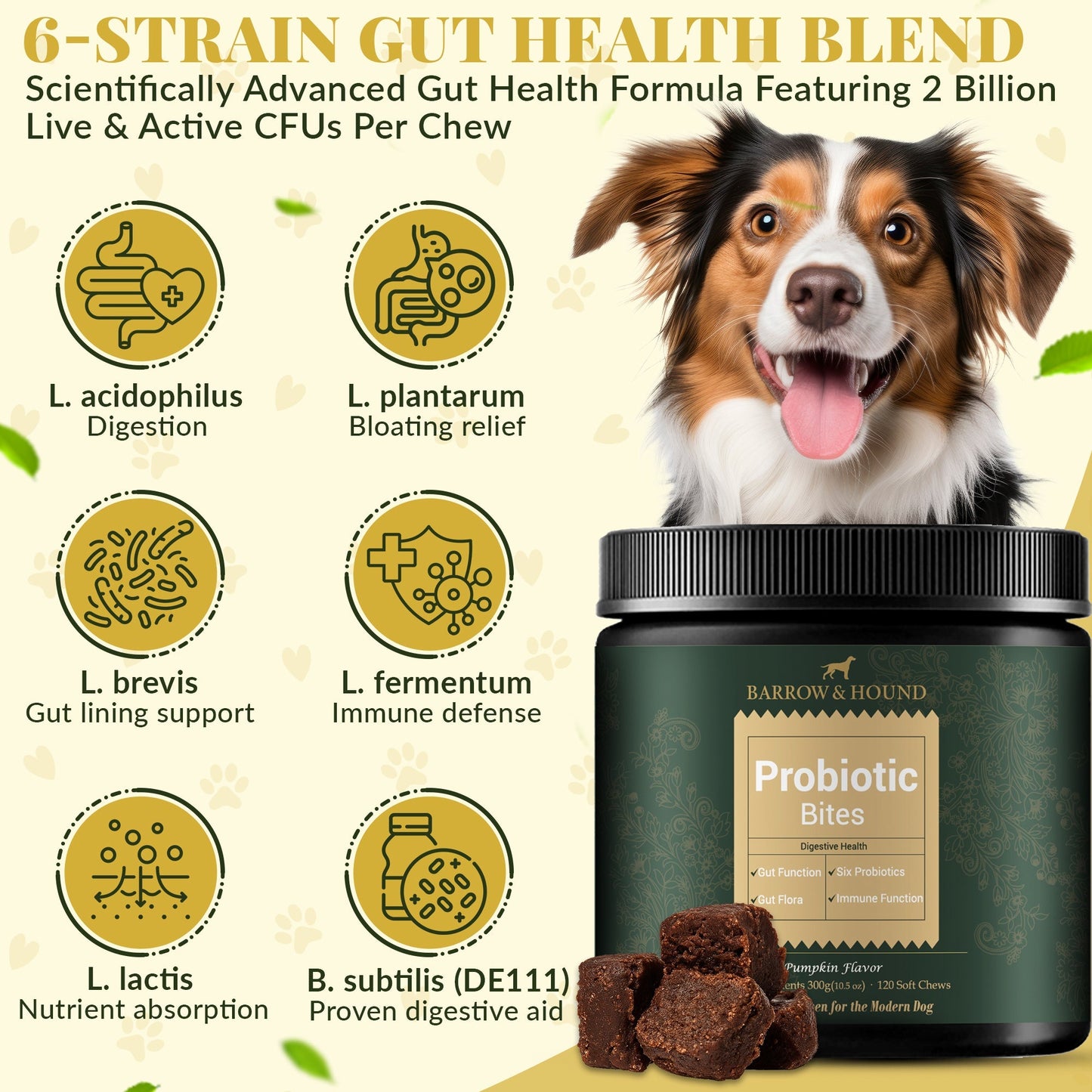 Probiotic Bites for Dogs: 6-Strain Gut Health and Digestive Support Soft Chews | 60 Count