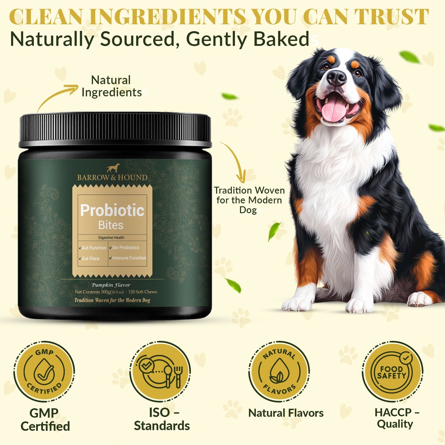 Probiotic Bites for Dogs: 6-Strain Gut Health and Digestive Support Soft Chews | 60 Count