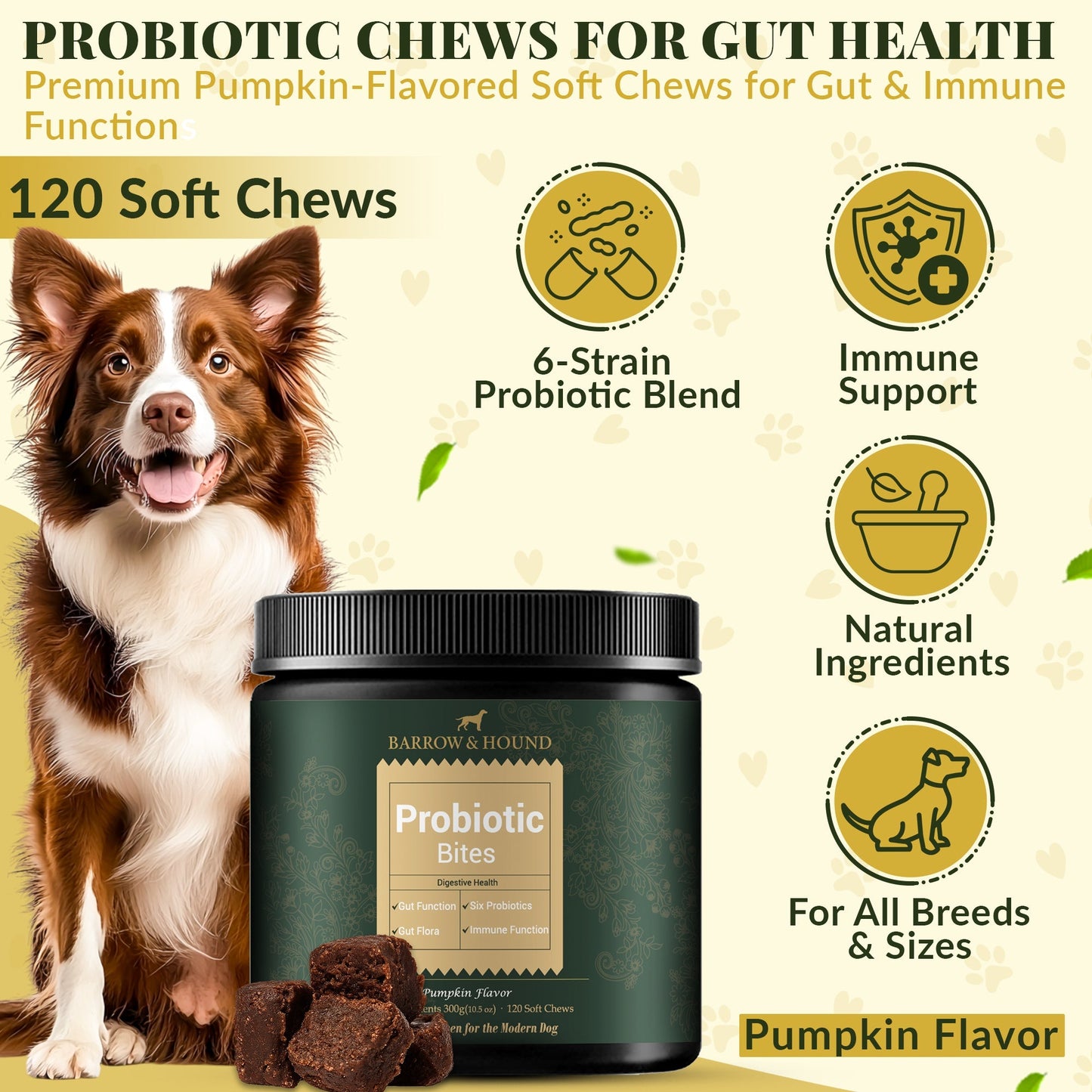 Probiotic Bites for Dogs: 6-Strain Gut Health and Digestive Support Soft Chews | 60 Count