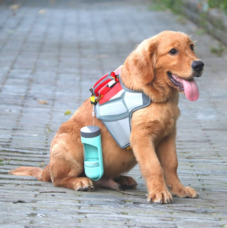 Dog Water Bottle With Activated Carbon Filter | Portable | 300ml