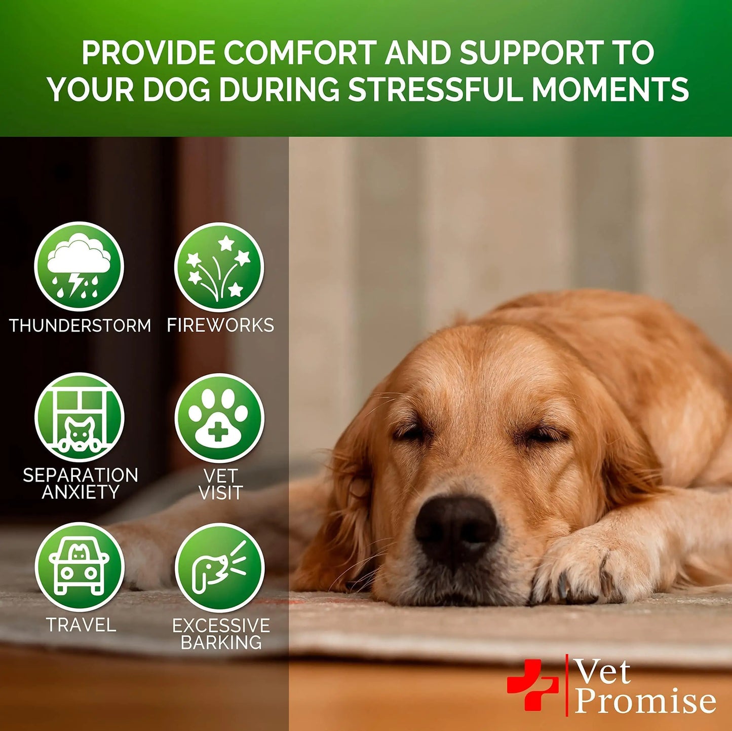 Natural Hemp Dog Calming Chews – 120 VET Formulated Melatonin Treats for Anxiety