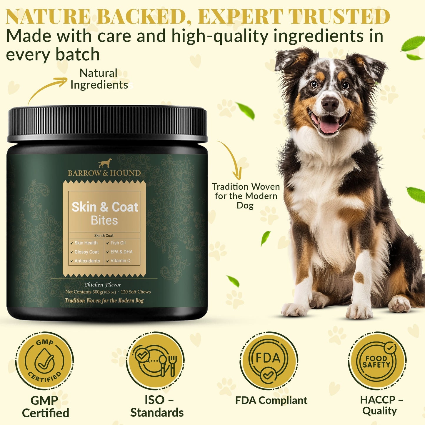 Skin and Coat Supplement for Dogs: Fish Oil Omega 3 Soft Chews with Biotin | 60 Count