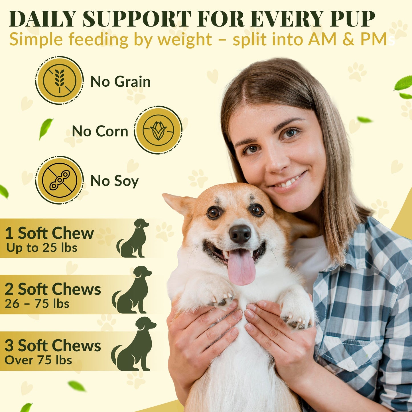 Skin and Coat Supplement for Dogs: Fish Oil Omega 3 Soft Chews with Biotin | 60 Count