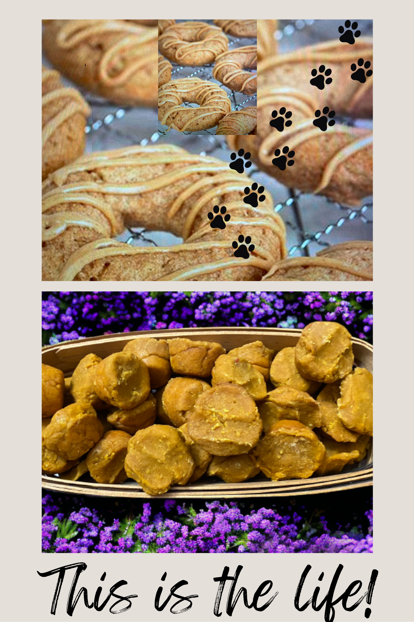 Organic Dog Treats: Apple Peanut Butter Donuts + Pumpkin Muffins