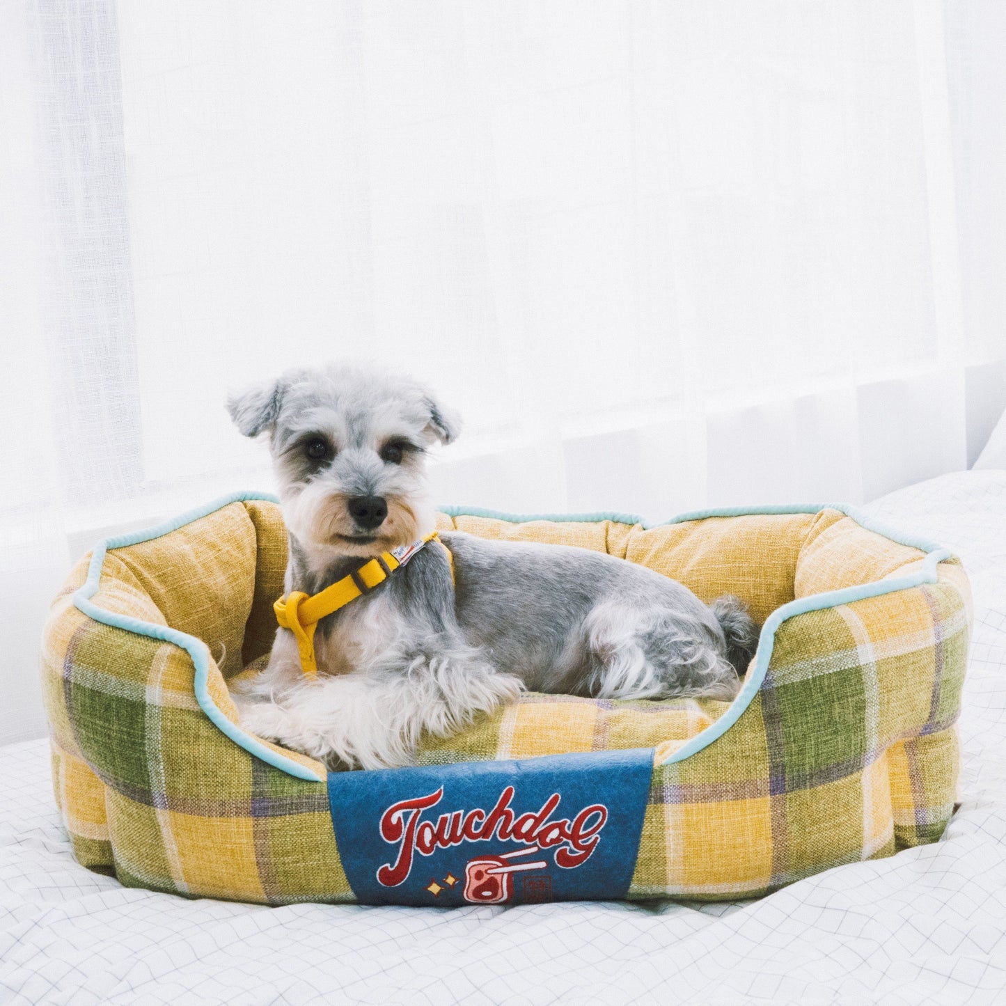 Plaid Oval Dog Bed | Water Resistant Pet Sofa | Machine Washable | M-L