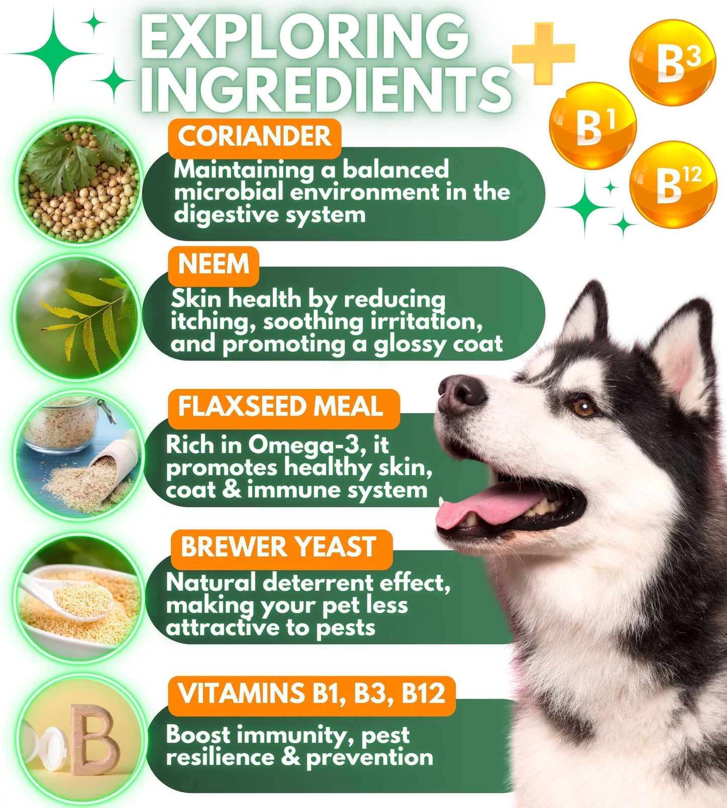Natural Flea and Tick Prevention for Dogs: Daily Parasite Control Chews | 120 Count