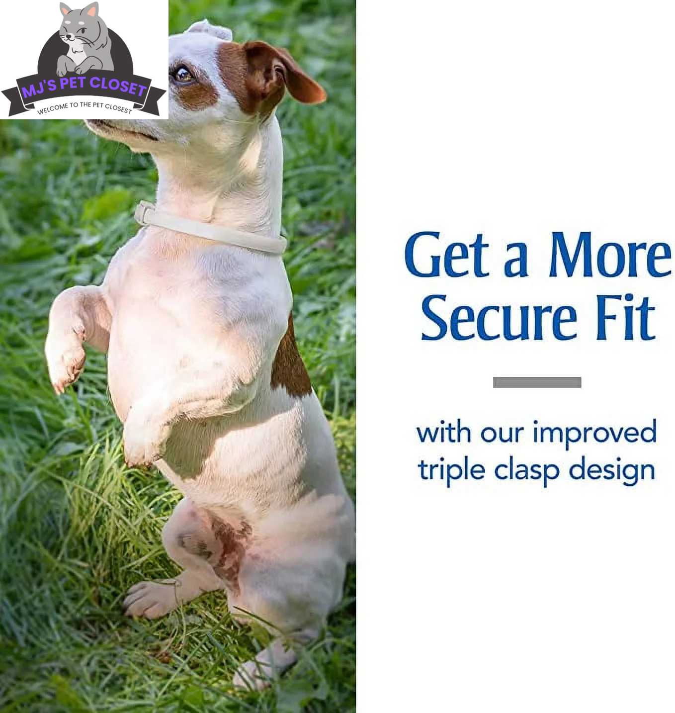 PetArmor Plus Flea and Tick Collar for Dogs | 6-Month Head-to-Tail Protection