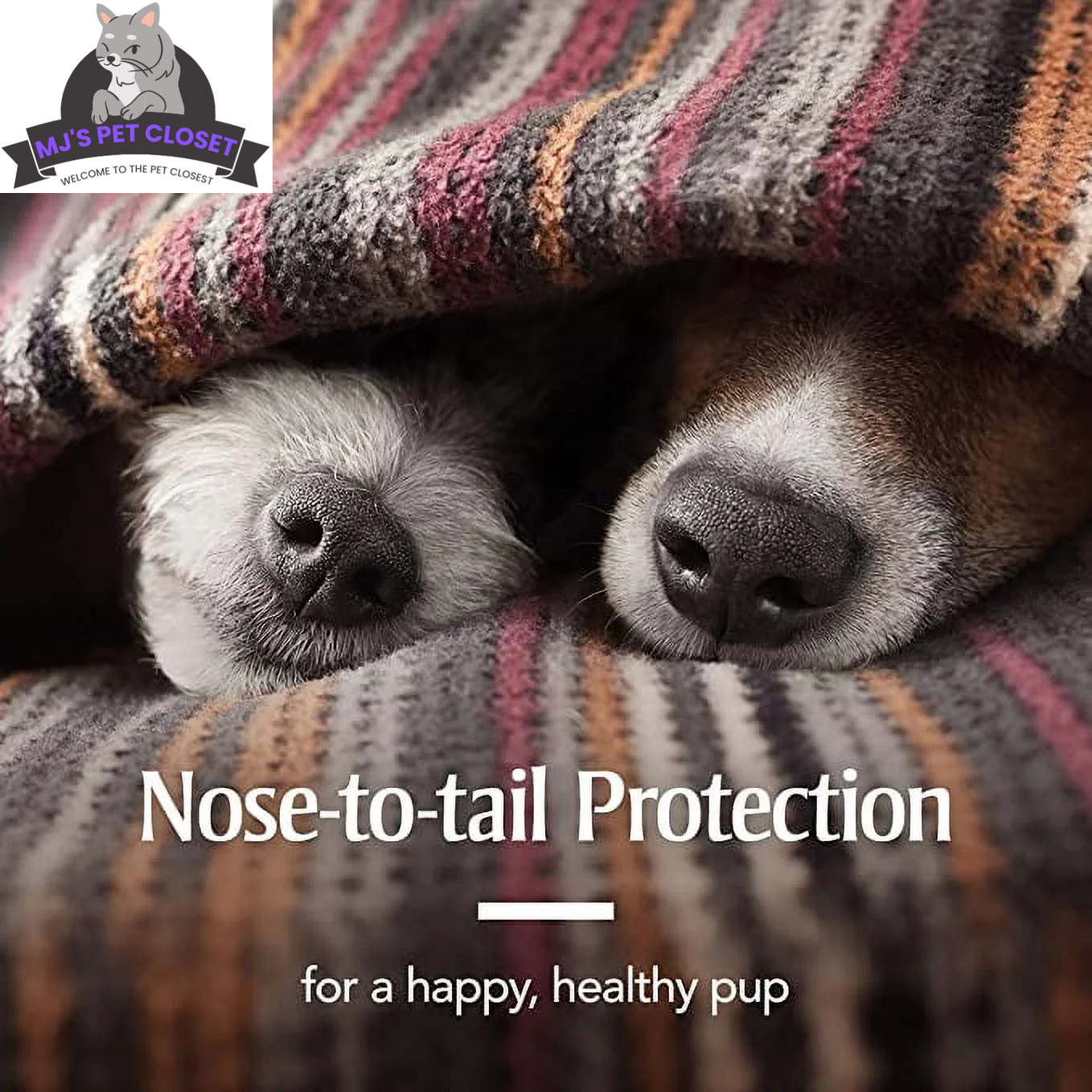 PetArmor Plus Flea and Tick Collar for Dogs | 6-Month Head-to-Tail Protection